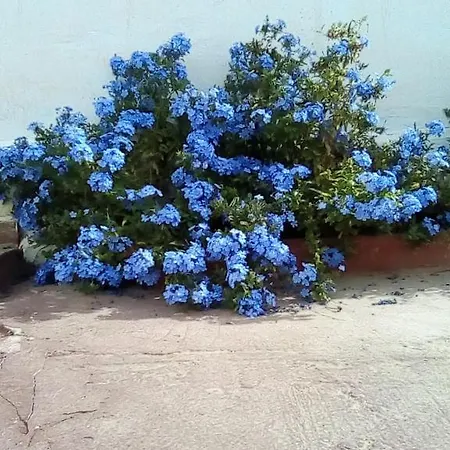 Casita En Altos Del Albaycin Holiday home *